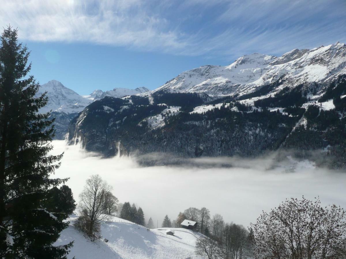 Holiday flat #1, Chalet Aberot, Wengen, Switzerland Buitenkant foto