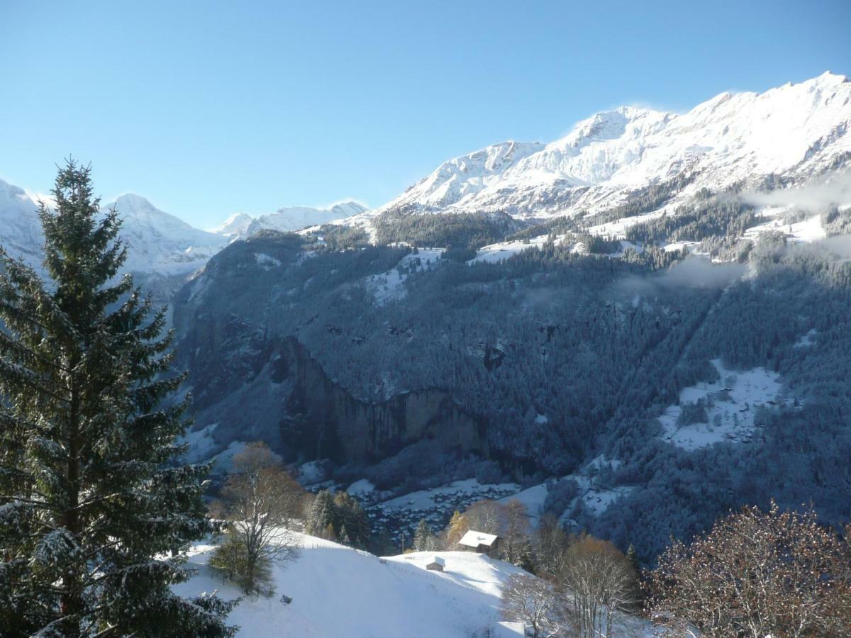 Holiday flat #1, Chalet Aberot, Wengen, Switzerland Buitenkant foto
